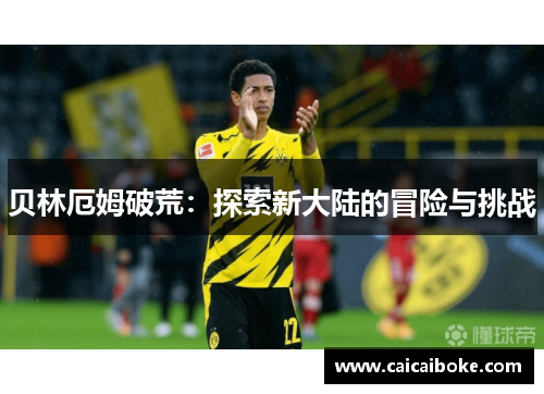 贝林厄姆破荒：探索新大陆的冒险与挑战